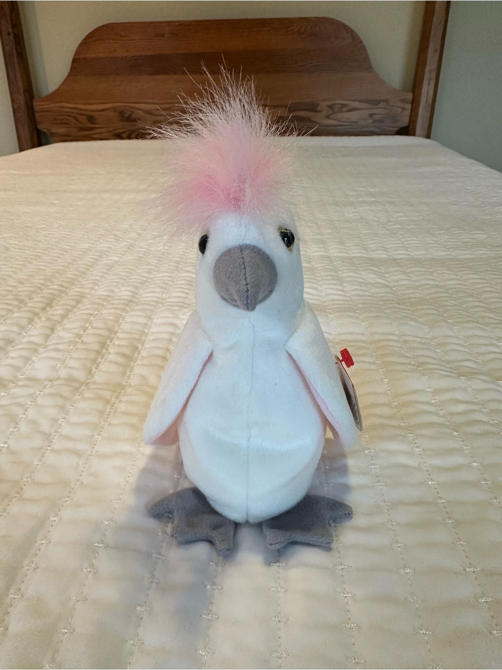 Kuku the Cockatoo Beanie Baby
